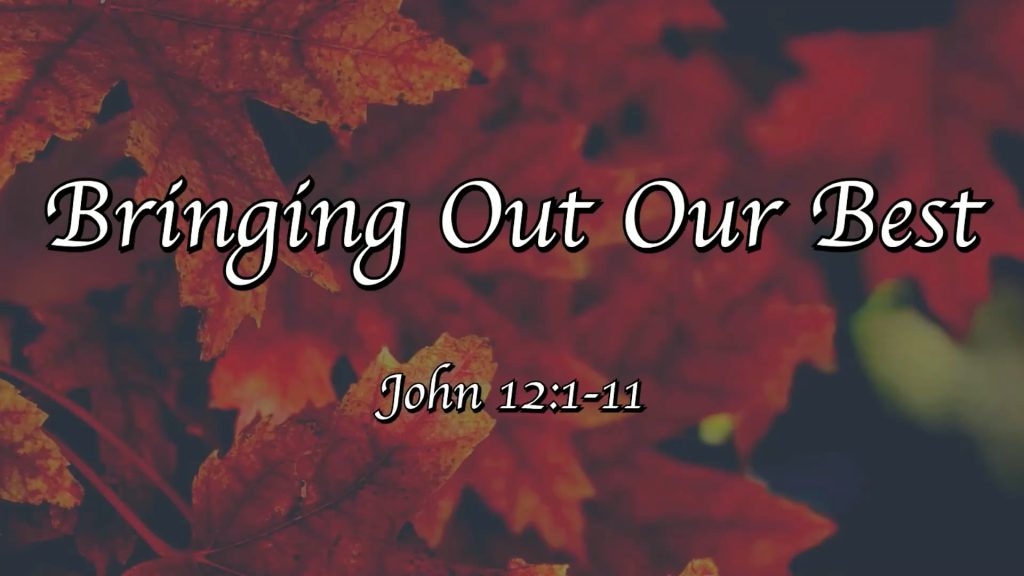 Thanksgiving 2025 – Bringing Out Our Best